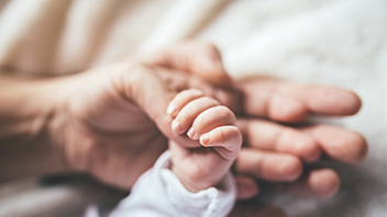 Babyhand umfasst die Hand der Eltern